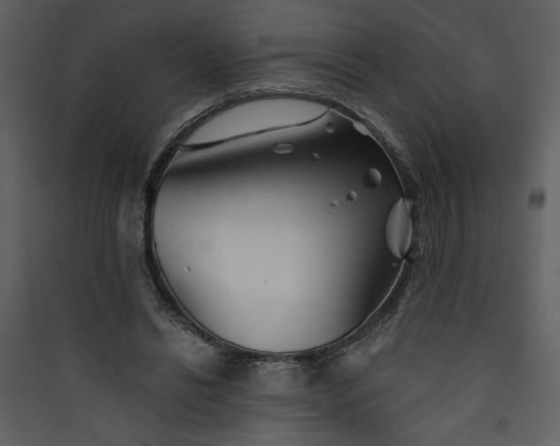 X0000089910446200707131352