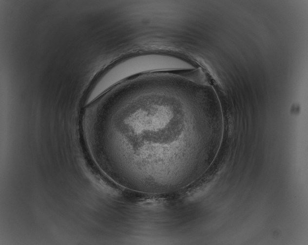 X0000089910447200707131353