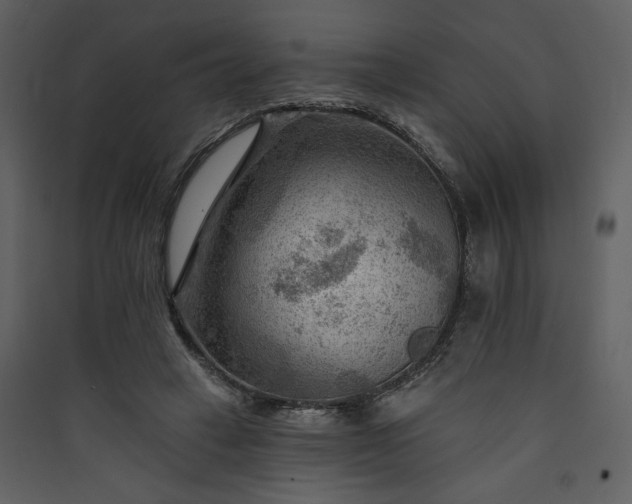 X0000089910449200707131353