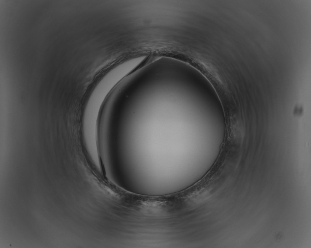 X0000089910450200707131353