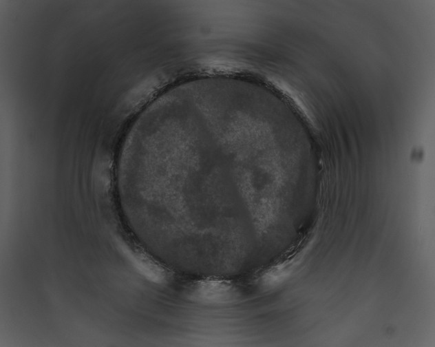 X0000089910451200707131353