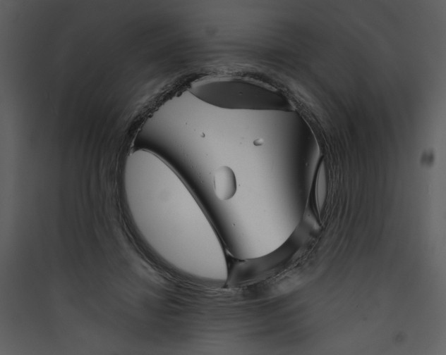 X0000089910452200707131353