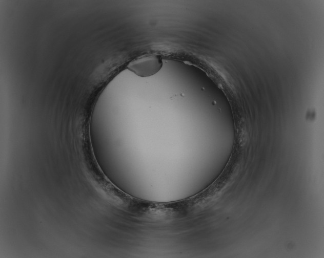 X0000089910455200707131353