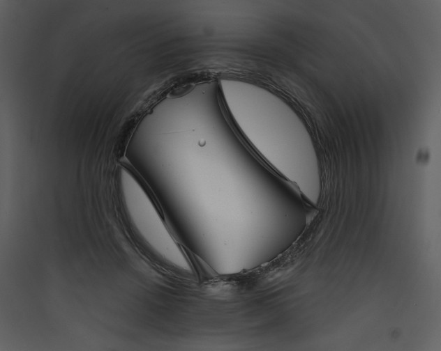 X0000089910456200707131353