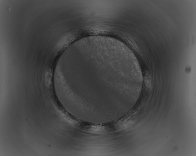 X0000089910458200707131353