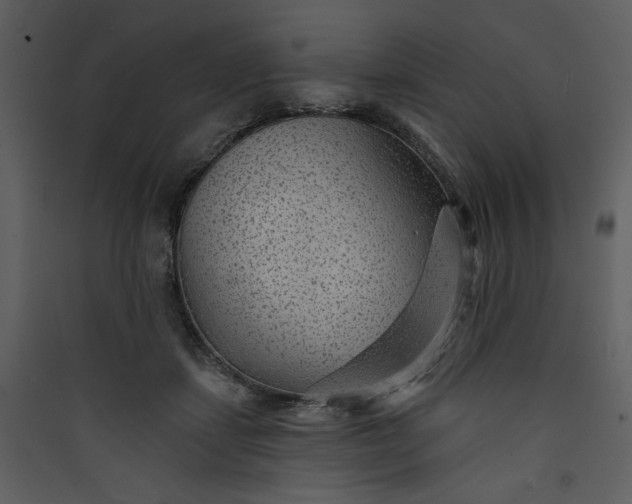 X0000089910459200707131353