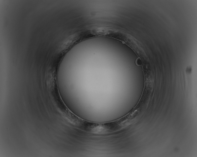 X0000089910460200707131353