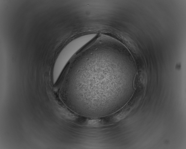 X0000089910461200707131353