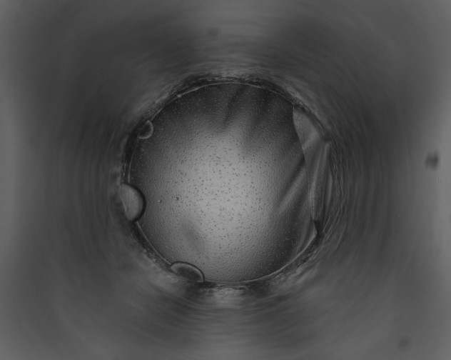 X0000089910462200707131353
