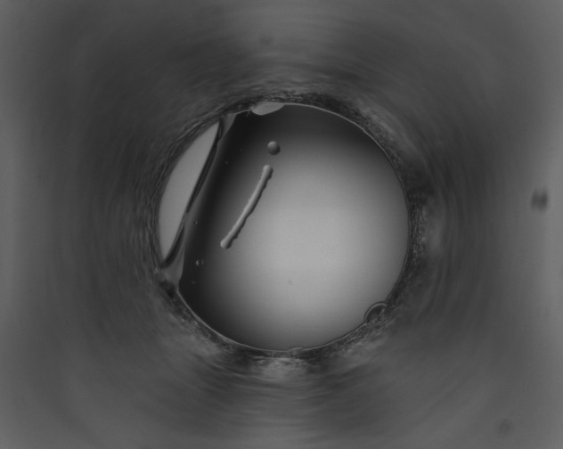 X0000089910463200707131353