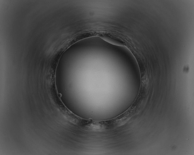 X0000089910464200707131353