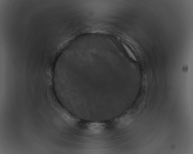 X0000089910465200707131353
