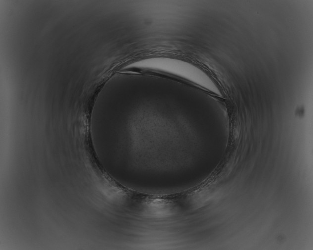 X0000089910467200707131353