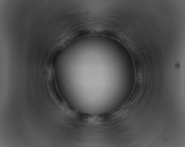 X0000089910468200707131353