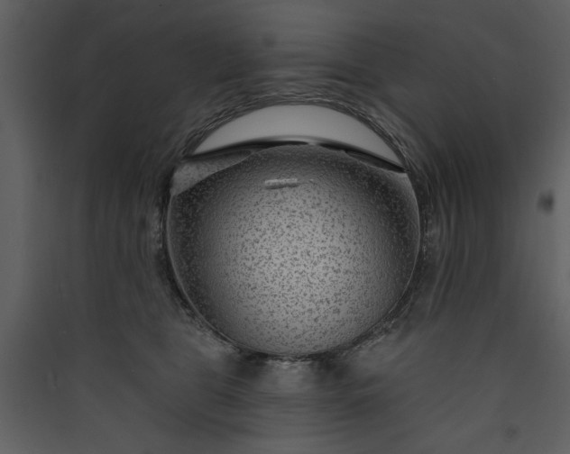 X0000089910469200707131353