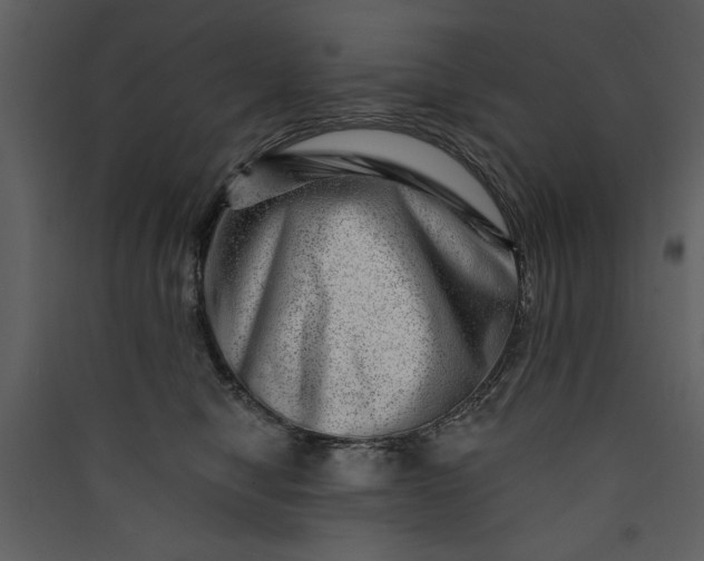 X0000089910470200707131353