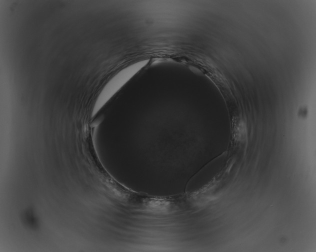 X0000089910471200707131353