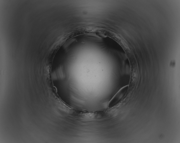 X0000089910473200707131353