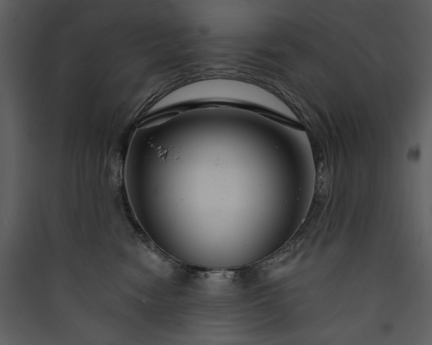 X0000089910474200707131353
