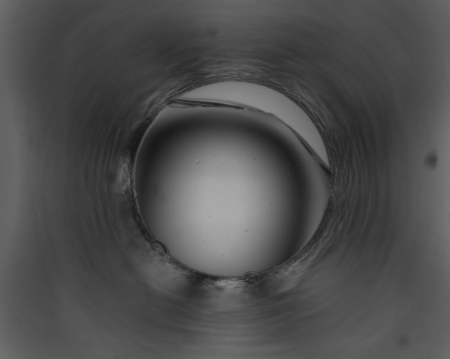 X0000089910478200707131353