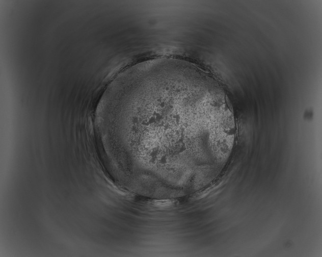X0000089910479200707131353