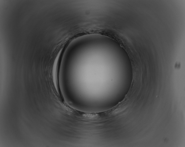 X0000089910480200707131353