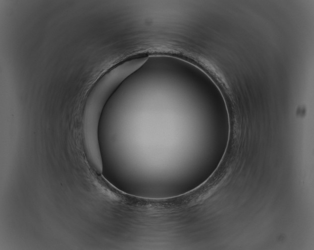 X0000089910481200707131352