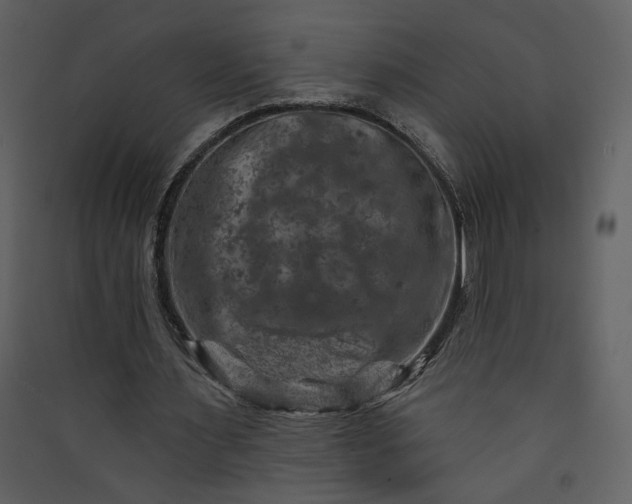X0000089910483200707131352