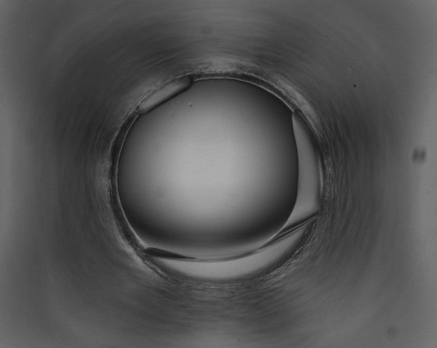 X0000089910485200707131352