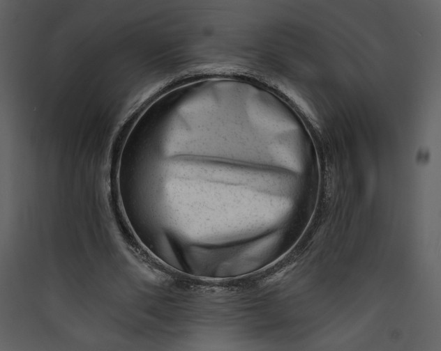 X0000089910486200707131352