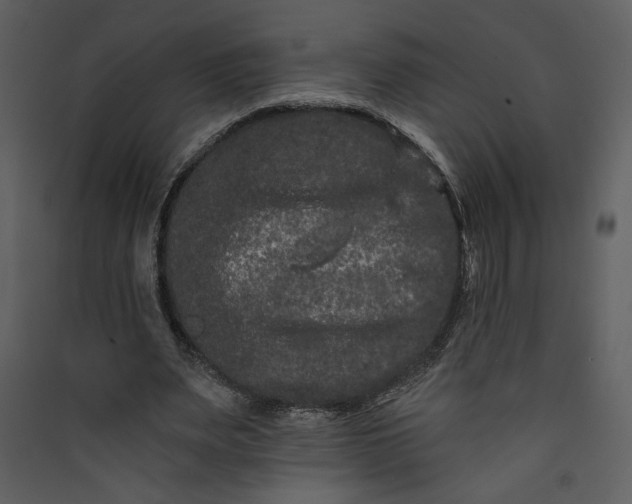 X0000089910487200707131352