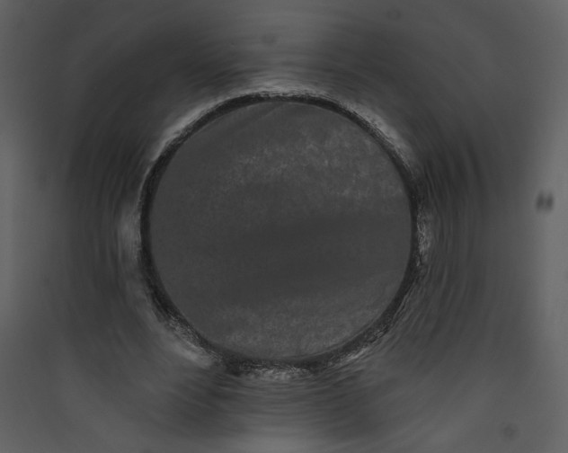 X0000089910488200707131352
