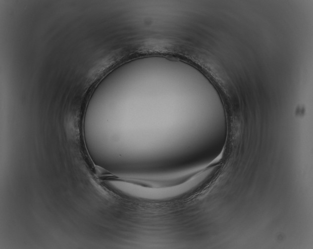 X0000089910489200707131352