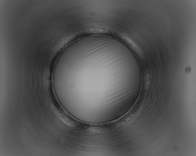 X0000089910490200707131352