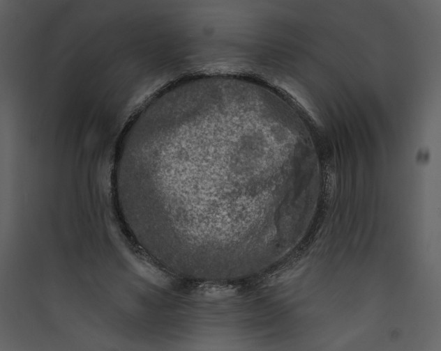 X0000089910491200707131352