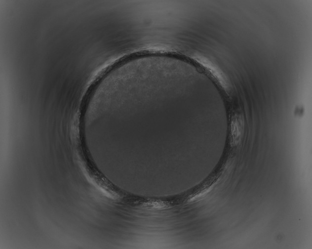 X0000089910492200707131352