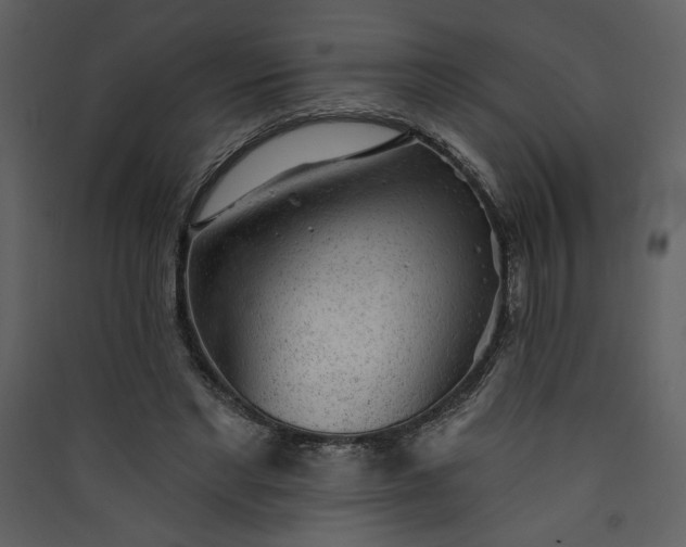 X0000089910493200707131352