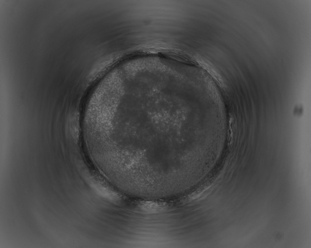 X0000089910494200707131352
