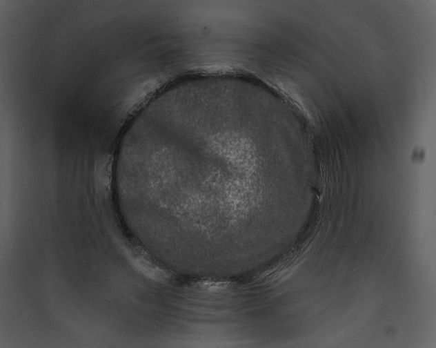 X0000089910495200707131352