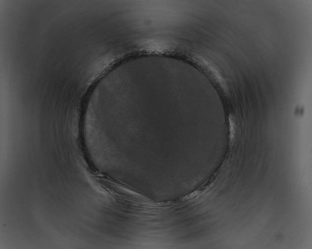 X0000089910496200707131352