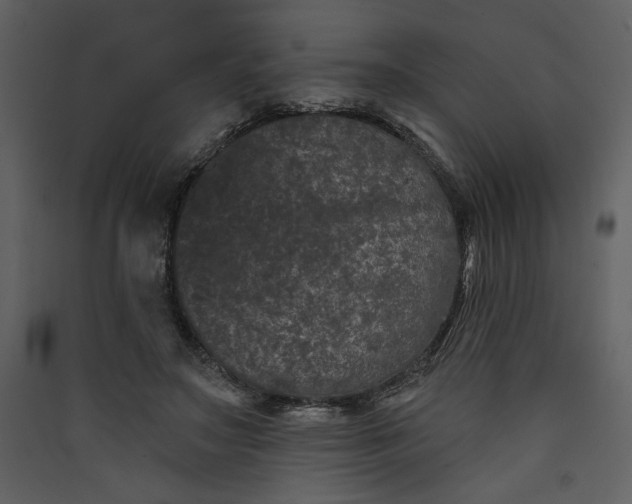 X0000089910499200707131352