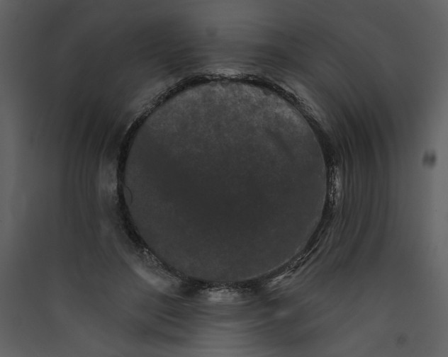 X0000089910500200707131352