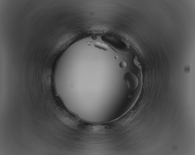 X0000089910501200707131352
