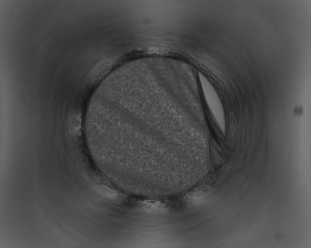 X0000089910502200707131352