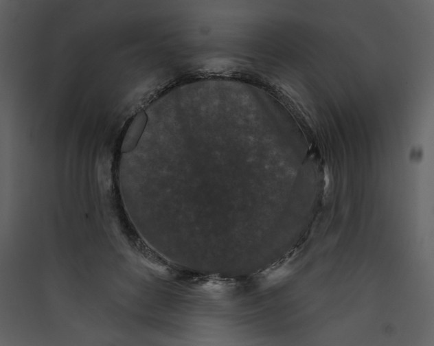 X0000089910504200707131352