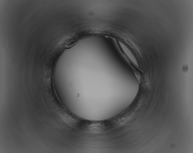 X0000089910505200707131352