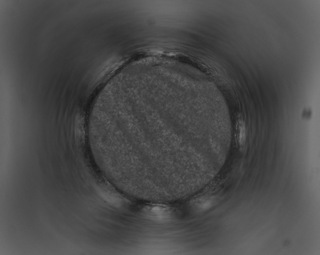 X0000089910506200707131352