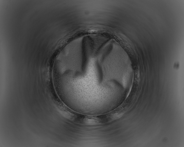 X0000089910510200707131352