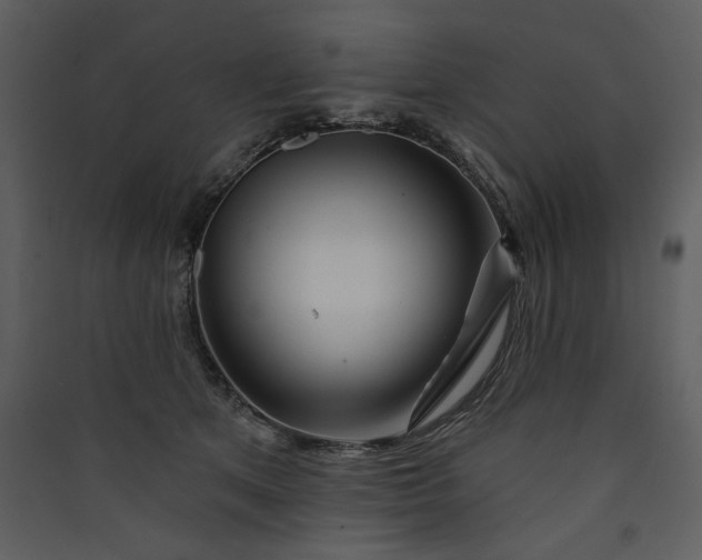 X0000089910513200707131352