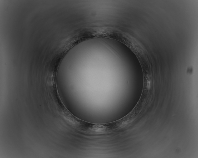 X0000089910514200707131352